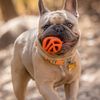 Chuckit! Medium Durable Breathe Right Dog Ball