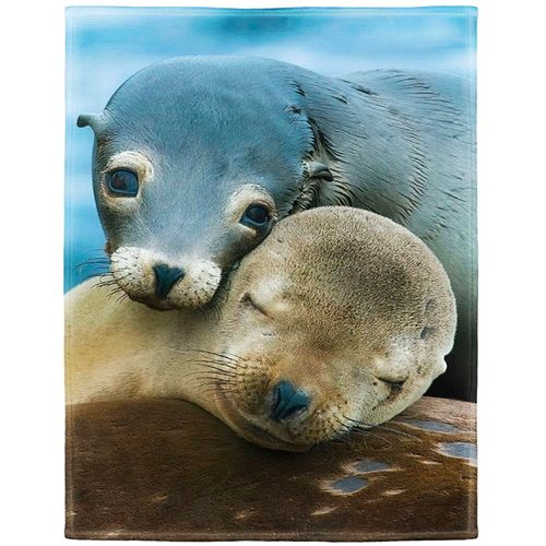 Rstick Sea Lions Blanket Marine Cute Animals Fleece Blanket Soft Fuzzy Plush Throw Blankets for Couch Bed 40"x50"