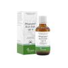 Pflãœ Gerplex Arum Triph. 147 H Drops 50 ml Drops