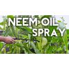 Dyna-Gro Neem Oil Irganic Leaf Polish 8 Ounce