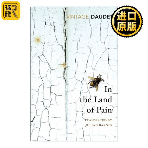 In the Land of Pain 在病痛之地 阿尔封斯·都德回忆录 英文原版