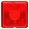Rubbolite Tail Light Replacement lense 8006