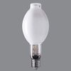 Panasonic High Gold Efficiency Oriented Mercury Lamp Ballast Lighting Type (Built-in Starter), General Type, 220 Type, Diffused Type, Base E39, NH220FL/N