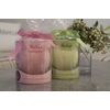 HOMESTAR Relax Pastel Green