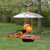 Nature's Way OFM1 Wire Oriole Feeder