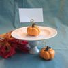 Orange Pumpkin Place Card Holder (Individual or Bulk Rates available)