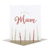 Hallmark Mum Birthday Studio Card "Wonderful Time" - Medium [Old Model]