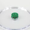 JBL Limcollect Aquarium Snail Trap, Green / Transparent