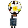 VSDISPLAY 3.4" Round LCD Panel VS34003C39 Resolution 800x800 HDMI Video DIY Mini LCD Kit DIY Display