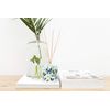 Portus Cale Diffusers - Sugarcane and Lemongrass 250ml