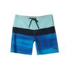Quiksilver Surfsilk Panel 18" - Boardshorts für Männer Blau