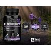 Zeal Naturals Max Strength Elderberry Capsules + Zinc + Vitamin C | 500mg for Immune System Support with Black Sambucus Elderberry | 100 Count | 3-in-1 Immune Support for Adults