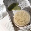 EcoTools, Dry Brush, 1 Brush