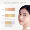 Perfect Cover Concealer Palette C03