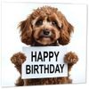 Happy Birthday Card - Cute Cavapoo 145mm x 145mm