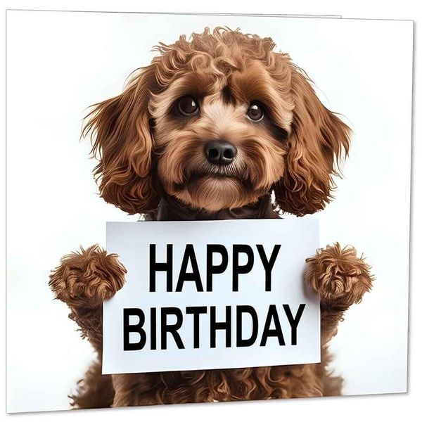Happy Birthday Card - Cute Cavapoo 145mm x 145mm
