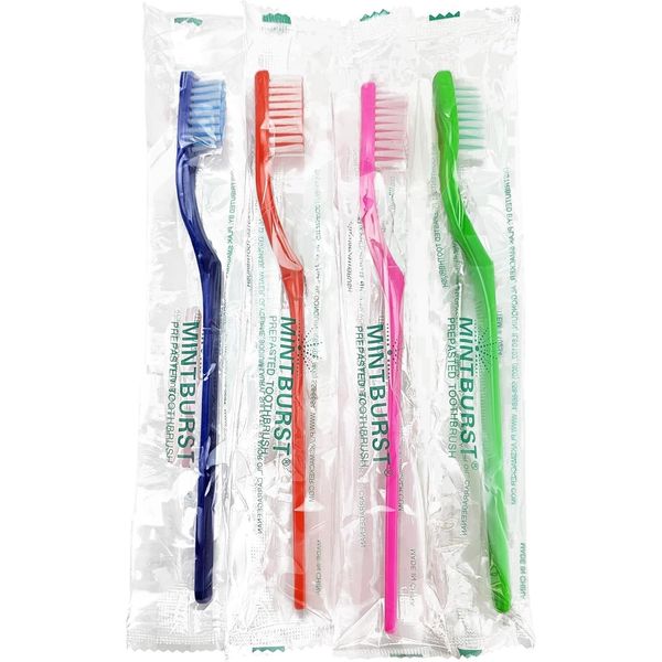 Plak Smacker Pre-pasted Toothbrush (4 Pack)