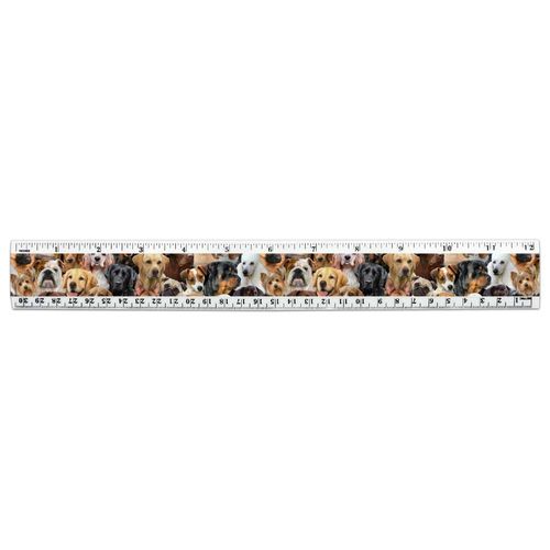 Dogs Lab Retriever Dachshund Poodle Pattern 12 Inch Standard and Metric Plastic Ruler