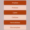 Bacillus B3 Probiotics  - Bacillus Subtilis, Coagulans Clausii Enzymes prebiotic