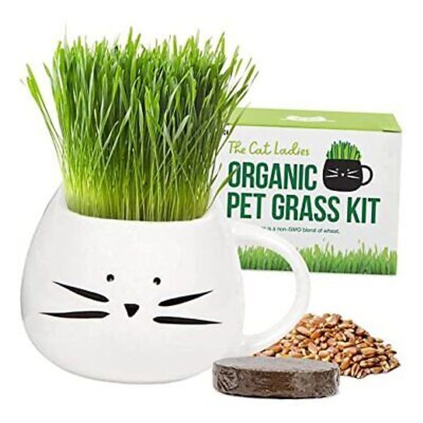 Organic Cat Grass for Indoor Cats - Growing Kit with Organic Seed White Cat