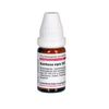 Sambucus nigra D30 DHU Globuli, 10 g Globuli