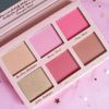 Viva La Diva Dream Cheek Blush Kit