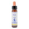 Healing Herbs/Flower Essence [Elm]