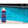 Rx Clear Algaecide 60 Plus Prevents Algae Swimming Pool Chemical - 1 Quart