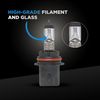 Wagner Lighting 9004 Standard Multi-Purpose Light Bulb Box of 1