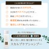 Coco Lab Scalp Care Shampoo 6.1 fl oz (180 ml) | Reduces dryness, dandruff and itching of the scalp with the action of lactic acid bacteria