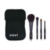 Usui Set of 4 (with Case), Blush, Shadow, Medium, Shadow Small, Eyeliner Large Brush