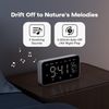 Dekala LED Digital Alarm Clock with Double Alarms, Temperature & Humidity Sensor, Bedside Function with Snooze, 12/24h Format, Large Automatic Dimmable Display and Digital Clock Mains Operated