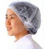 Caterpillar Net [1000/Box of 10] (Blue)