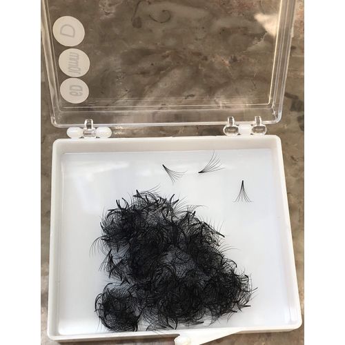 LASH BY HOLLY 6D PREMADE (HAND MADE) FAN LASHES (500 FANS/TRAY) FOR EYELASH EXTENSION, C CURL, D CURL AND M CURL, 0.07 THICKNESS, LENGTH FROM 9MM-15MM (D10mm6D)