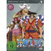One Piece - TV Serie - Vol.33 - [DVD]