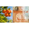 Bath Set - 22.5 oz Tarocco Moisturizing Shampoo, Conditioning Treatment, Nourishing Moisturizer and Body Wash with Sicilian Blood Oranges by Baronessa Cali