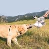 KONG Stretchezz Legz Bear Dog Toy, Large Multicolour