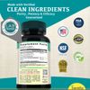 Cognitive Supplement – Improve Focus, Memory & Brain Health, Ships Free