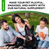 Dog Probiotics Drops | Digestive Balance & Enzyme Blend | 2 Oz