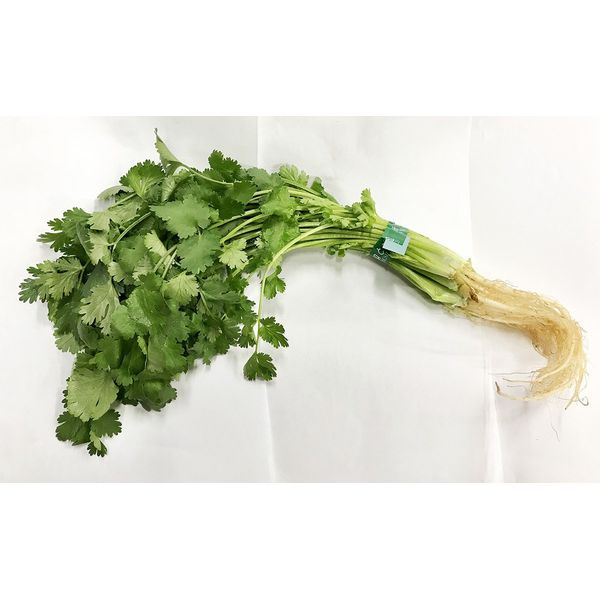 Produced in Kyoto Prefecture and Others Fragrant Vegetables (Cilantro/Coriander) Approx. 3.5 oz (100 g) (bundle)