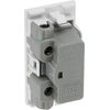 BG EMFUSEW Euro Module 13A Fused Module - White