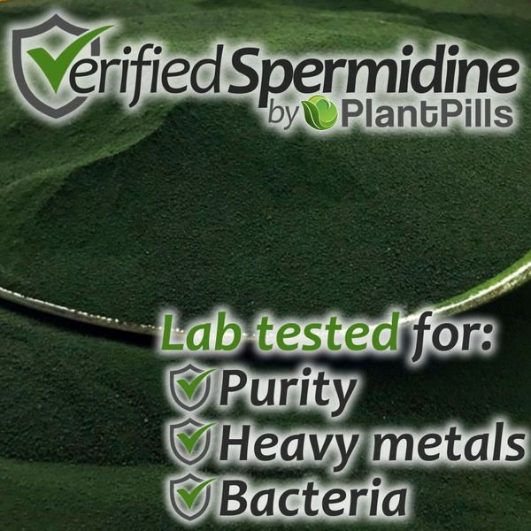 1kg PlantPills Whole Food Spermidine Powder Lab Verified at 240mg/250g