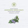 Avalon Organic Botanicals, Shampoo, Lavender, 11 oz