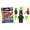 The LEGO Movie Series 71004 (ONE Random Pack)
