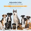 Dog Vibration 16 Static Levels Shock Beep Training Collar with Remote Waterproof