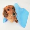 Iris Ohyama, Super Absorbent Pet Towel Blue