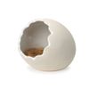 Minimal Land Minimal LAND Hamusu Egg M