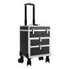 Professional Rolling Makeup Train Case Makeup Storage Organizer Cosmetic Trolley