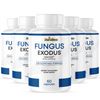 Fungus Exodus- Skin & Nail Support- 5 Bottles- 300 Capsules