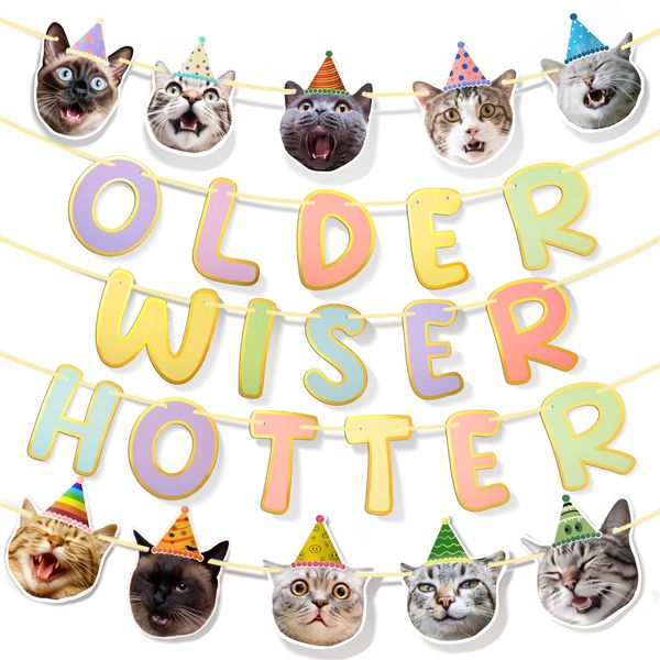 Happy Birthday Banner Macaron Older Wiser Hotter Sign Garland Cat Face Banner Kitties Photographic Hat Cat Bunting Party Backdrop Decoration